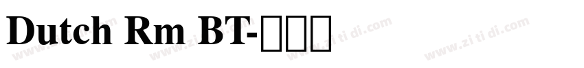 Dutch Rm BT字体转换